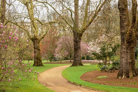 buckingham palace gardens