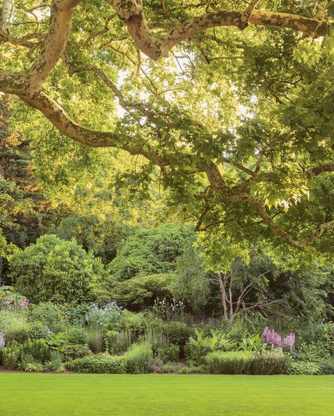 buckingham palace gardens revealed in a new book