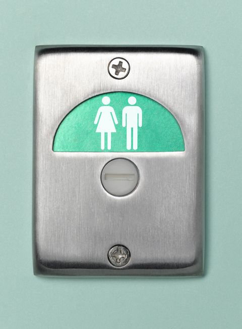 buildings must have single sex toilets under new government plan