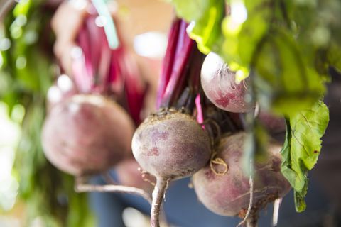 what to grow in november beets