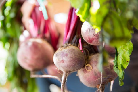 what to grow in november beets