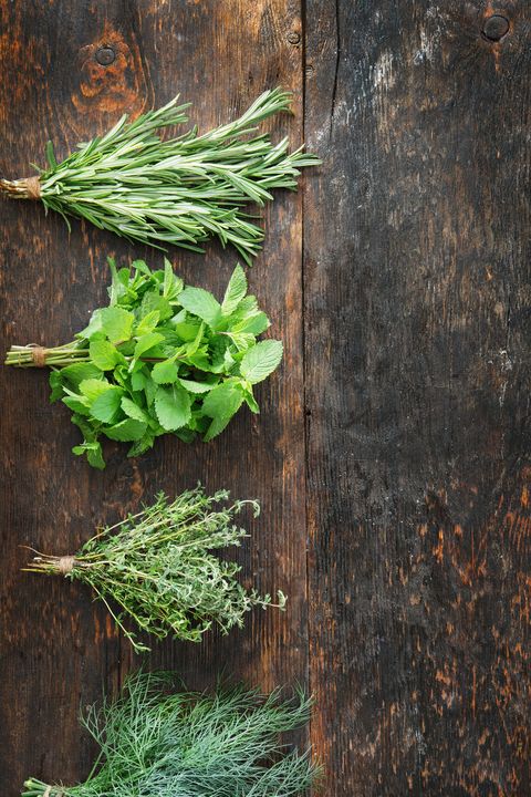 Bunches of fresh rosemary, mint, thyme and dill