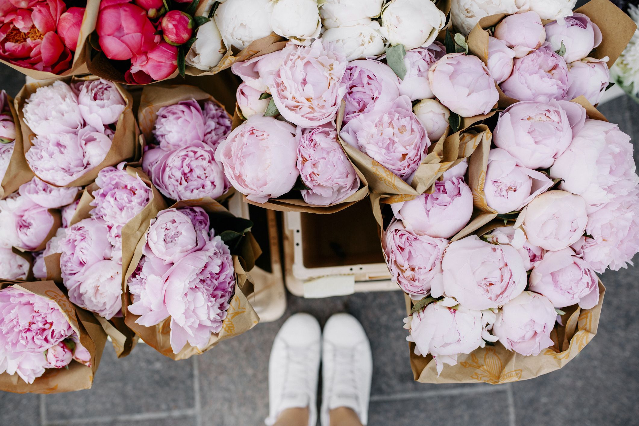 peonies