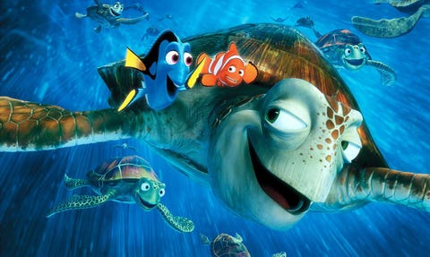 buscando a nemo buscando a nemo