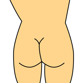 Stomach, Yellow, Nose, Organ, Line, Leg, Joint, Abdomen, Neck, Clip art, 