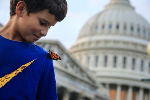 Congressional Pollinator Protection Caucus Releases Monarch Butterflies To Raise Awareness About Their Declining Population