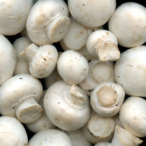 button mushrooms