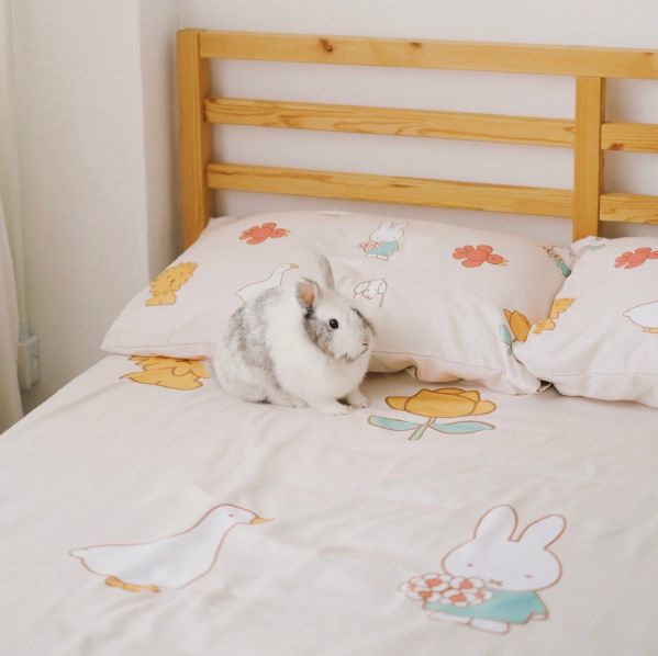 最萌米菲兔來了！pinkoi x miffy聯名第三彈，床包組、地毯等居家好物等你來收藏