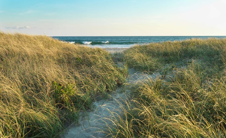 7 Rhode Island Beaches to Visit in 2018 - Best Beaches in Rhode Island