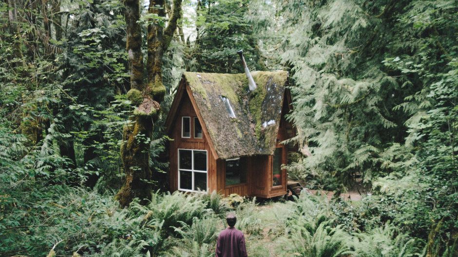 Ya puedes vivir en una cabaña como las de los Ewoks o de los Hobbits -  Cabañas en árboles