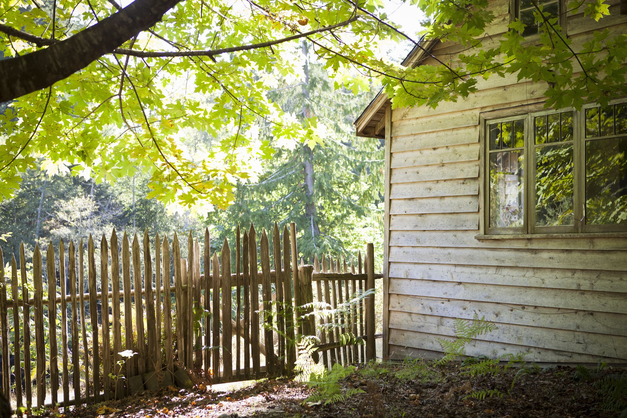 20 Best Backyard Fence Ideas Privacy Fence Ideas For Backyards