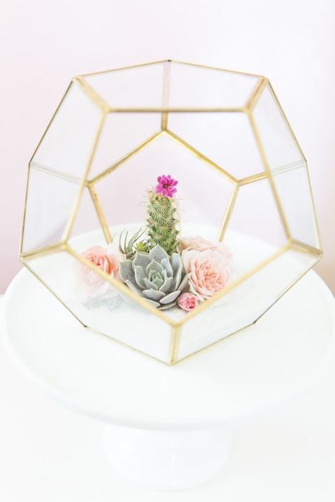 cactus terrarium diy wedding centerpieces