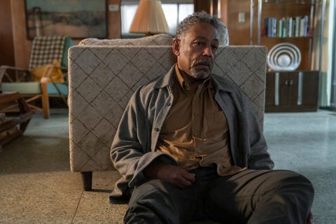 image of the protagonist
