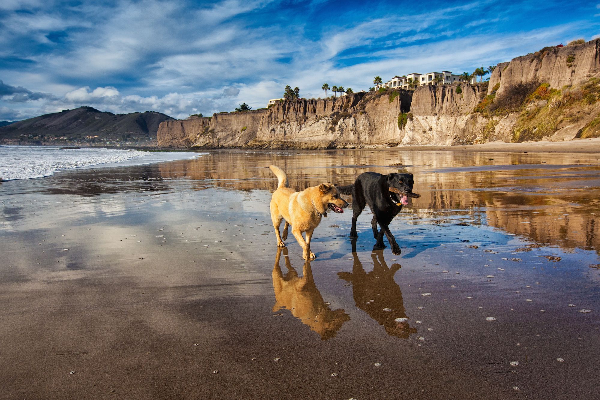 20 Best Beaches In California Beautiful