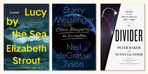 lucy by the sea, elizabeth strout, starry messenger, neil degrasse tyson, the divider, peter baker, susan glasser