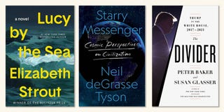 lucy by the sea, elizabeth strout, starry messenger, neil degrasse tyson, the divider, peter baker, susan glasser