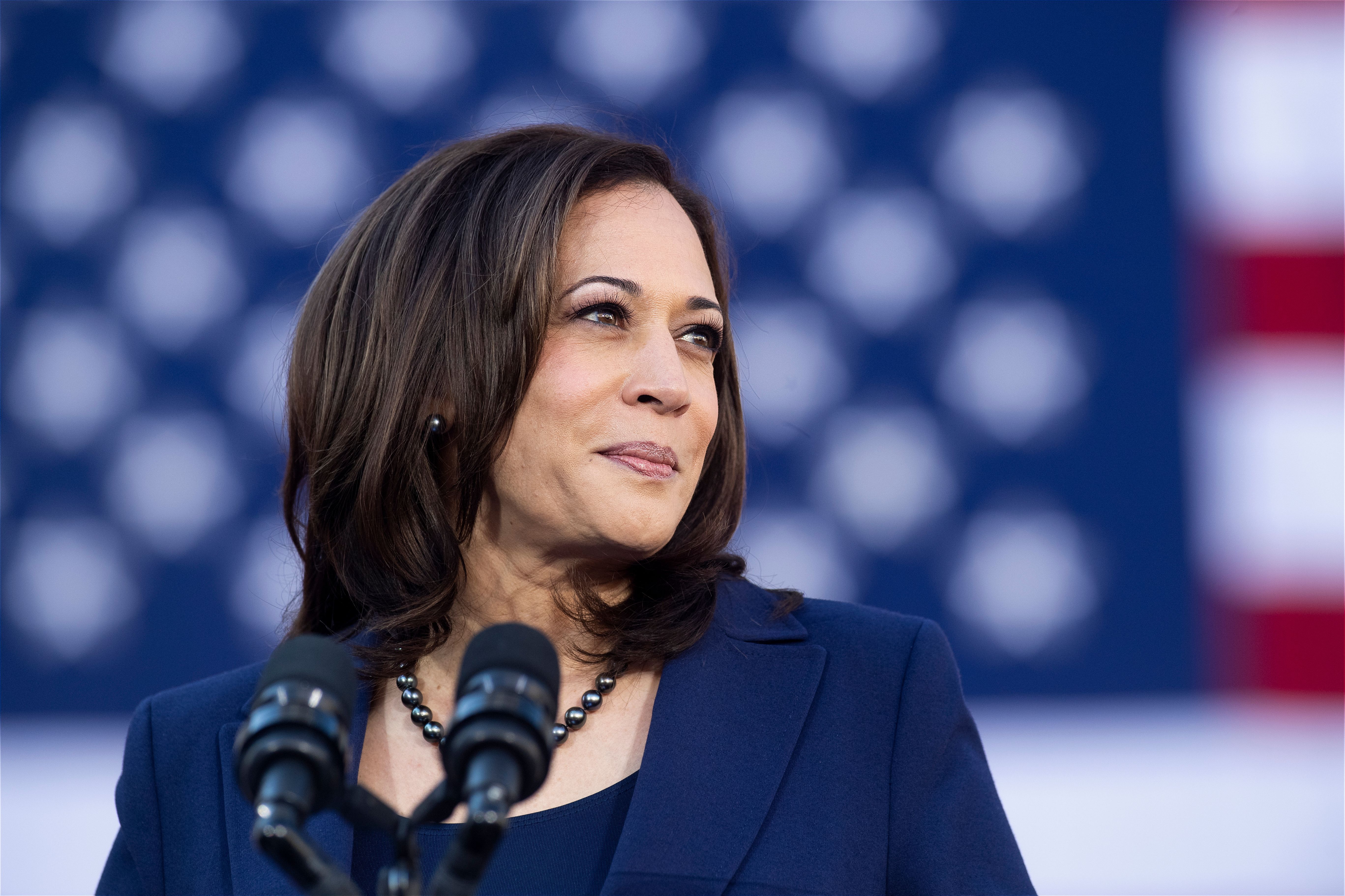 How Kamala Harris S Family Reacted To Her Vp Nomination
