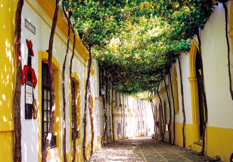 callejon de los ciegos jerez de la frontera cadiz