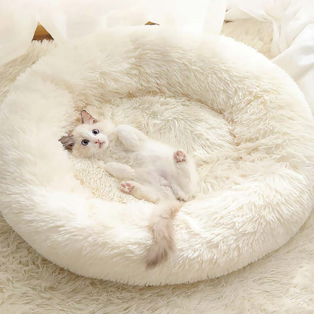 ? Aprende cómo hacer una cama para gatos ?