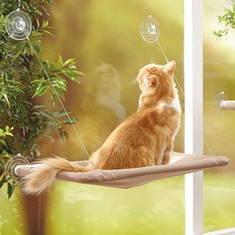 Cama para gatos en la ventana con ventosas