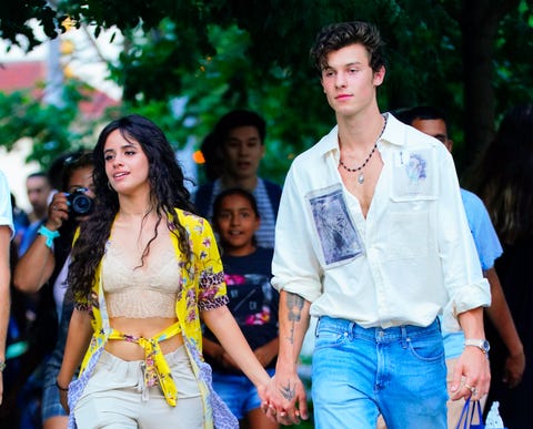 camila cabello and shawn mendes