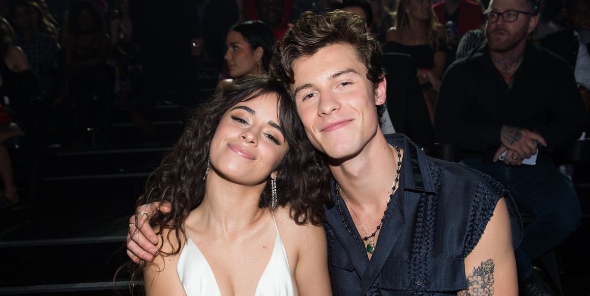 Camila Cabello S Liar And Shameless Lyrics Are About Shawn Mendes