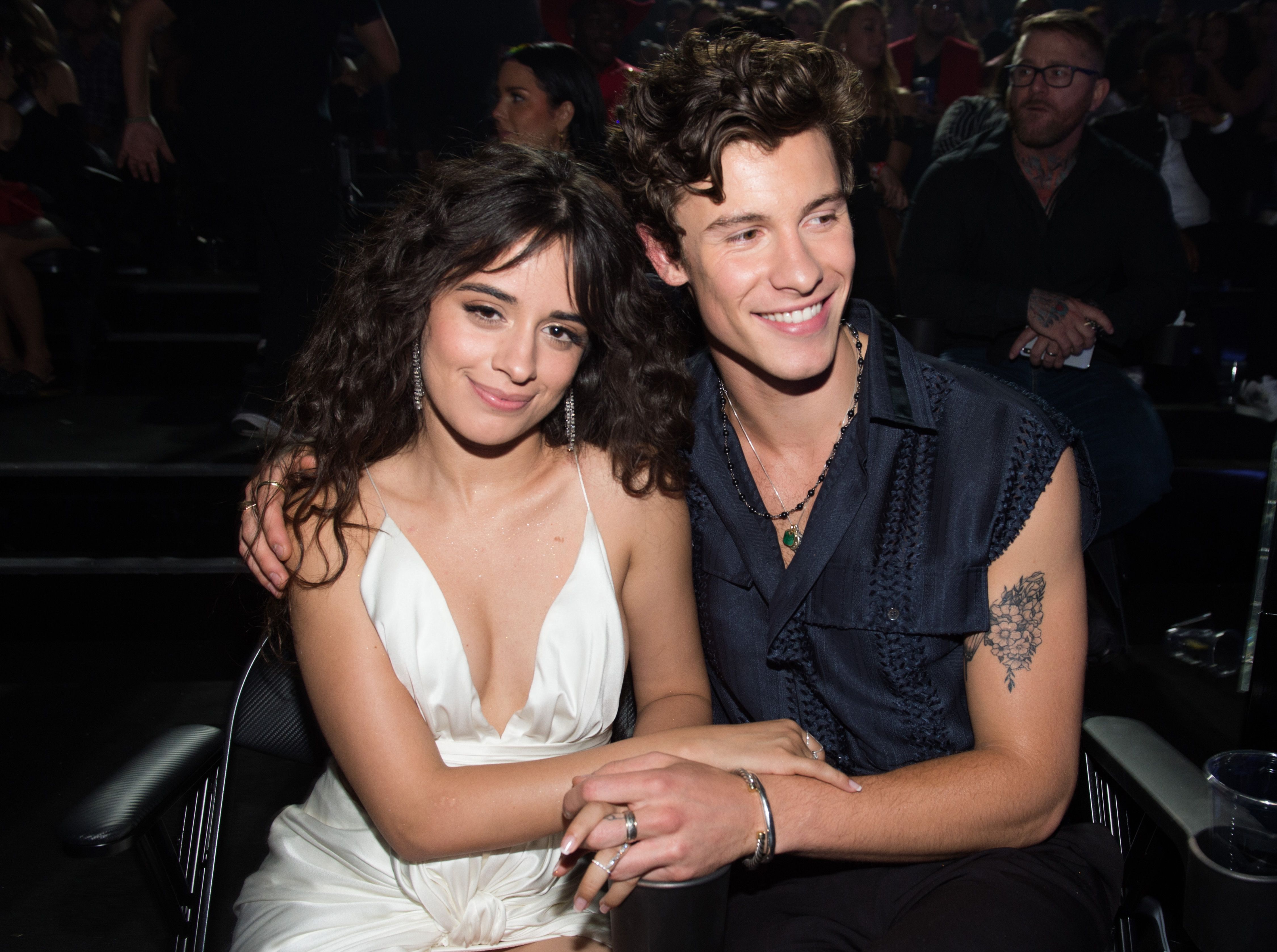 Why Shawn Mendes And Camila Cabello Skipped The Grammys In 2021