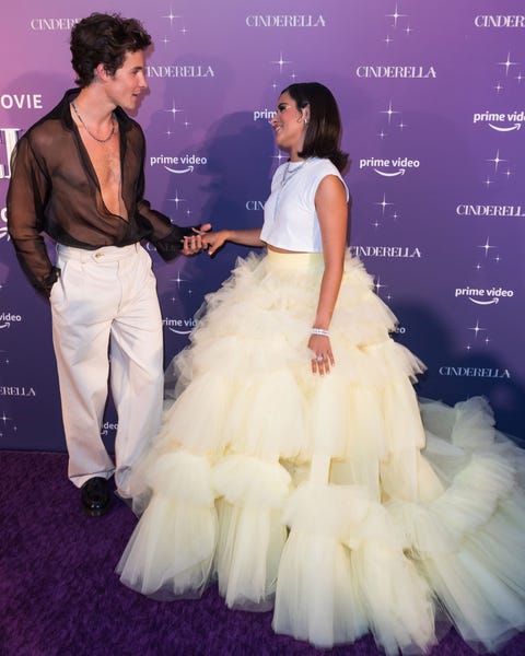 Camila Cabello and Shawn Mendes shawn mendes and camila cabello