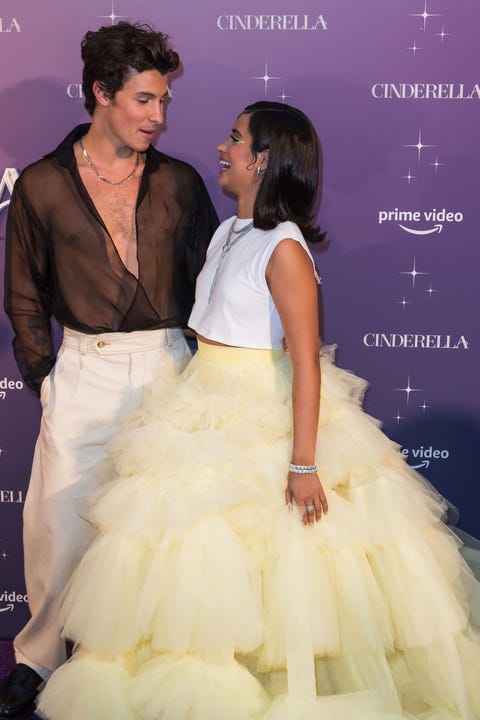 Camila Cabello and Shawn Mendes shawn mendes and camila cabello