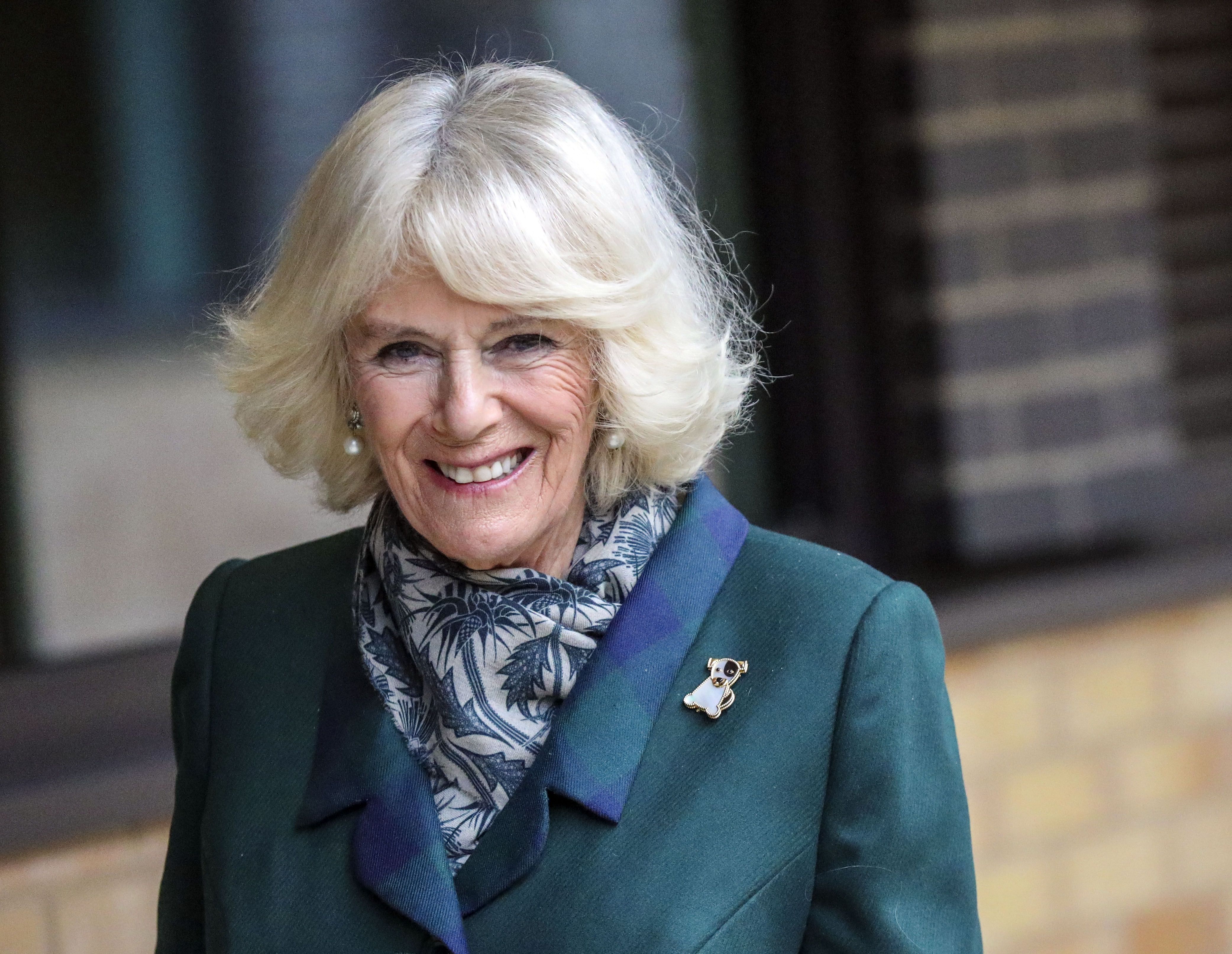 camilla-duchess-1608463502.jpg