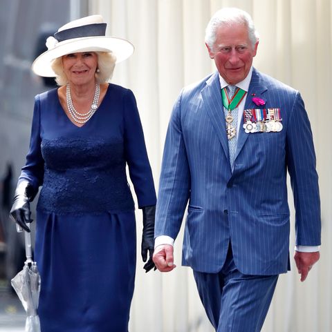 prince charles and camilla release christmas card