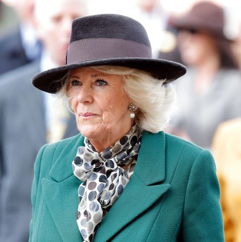 Camilla, Duchess of Cornwall Shares Message About Domestic Violence ...