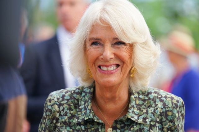 the duchess of cornwall visits antiques roadshow in cornwall