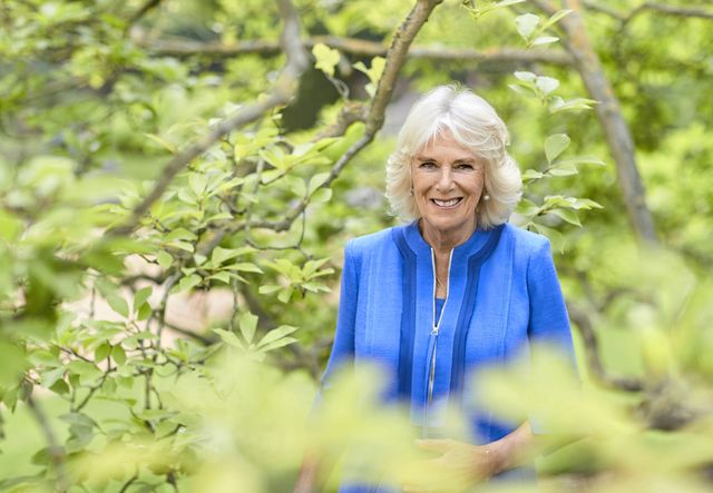 official portrait of the duchess of cornwall to mark hrh's 73rd birthday