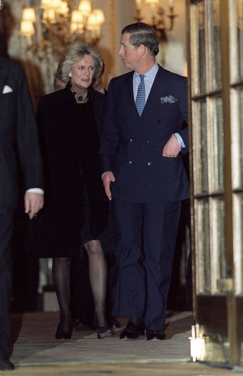 Younger Charles Prince Of Wales And Camilla - Article Blog