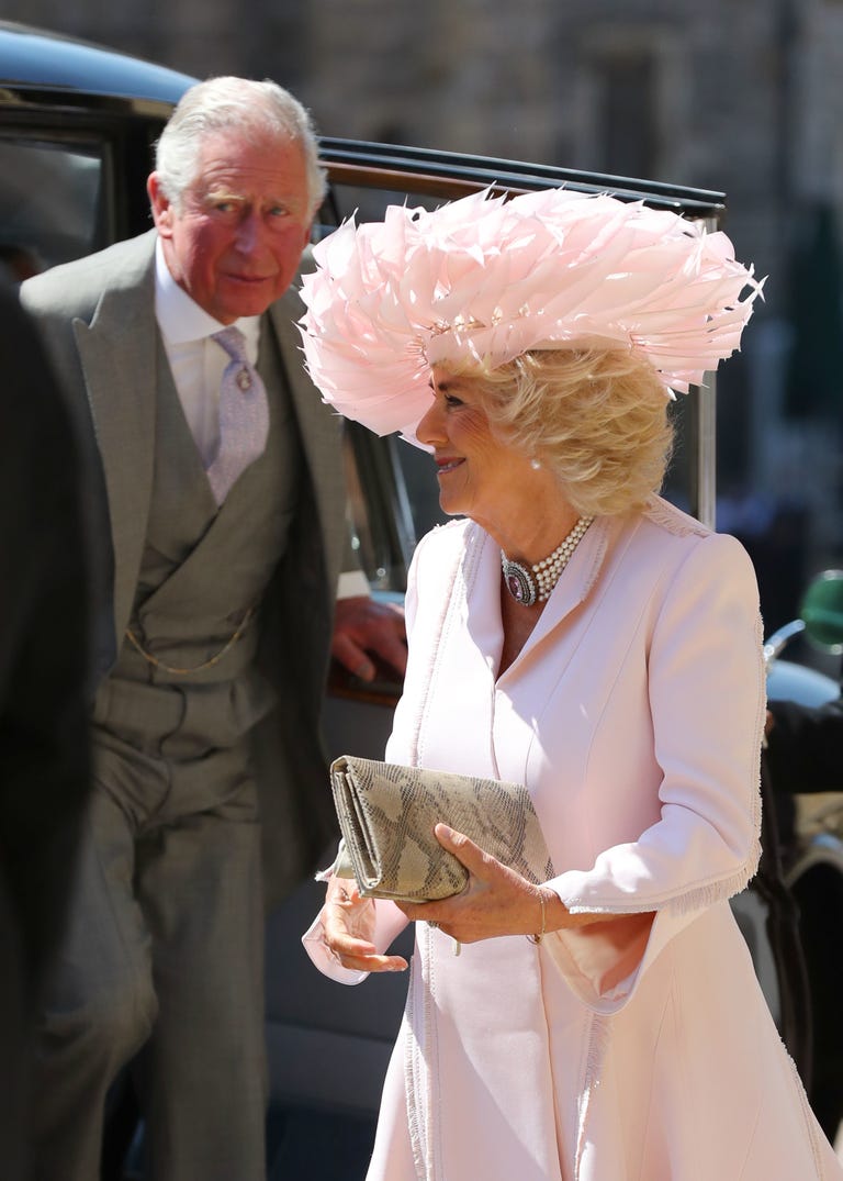 Camilla Parker Bowles Hat at Royal Wedding - Camilla Duchess of