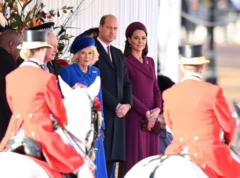 استقبال تشریفاتی توسط شاه و همسر ملکه، رژه نگهبانان اسب