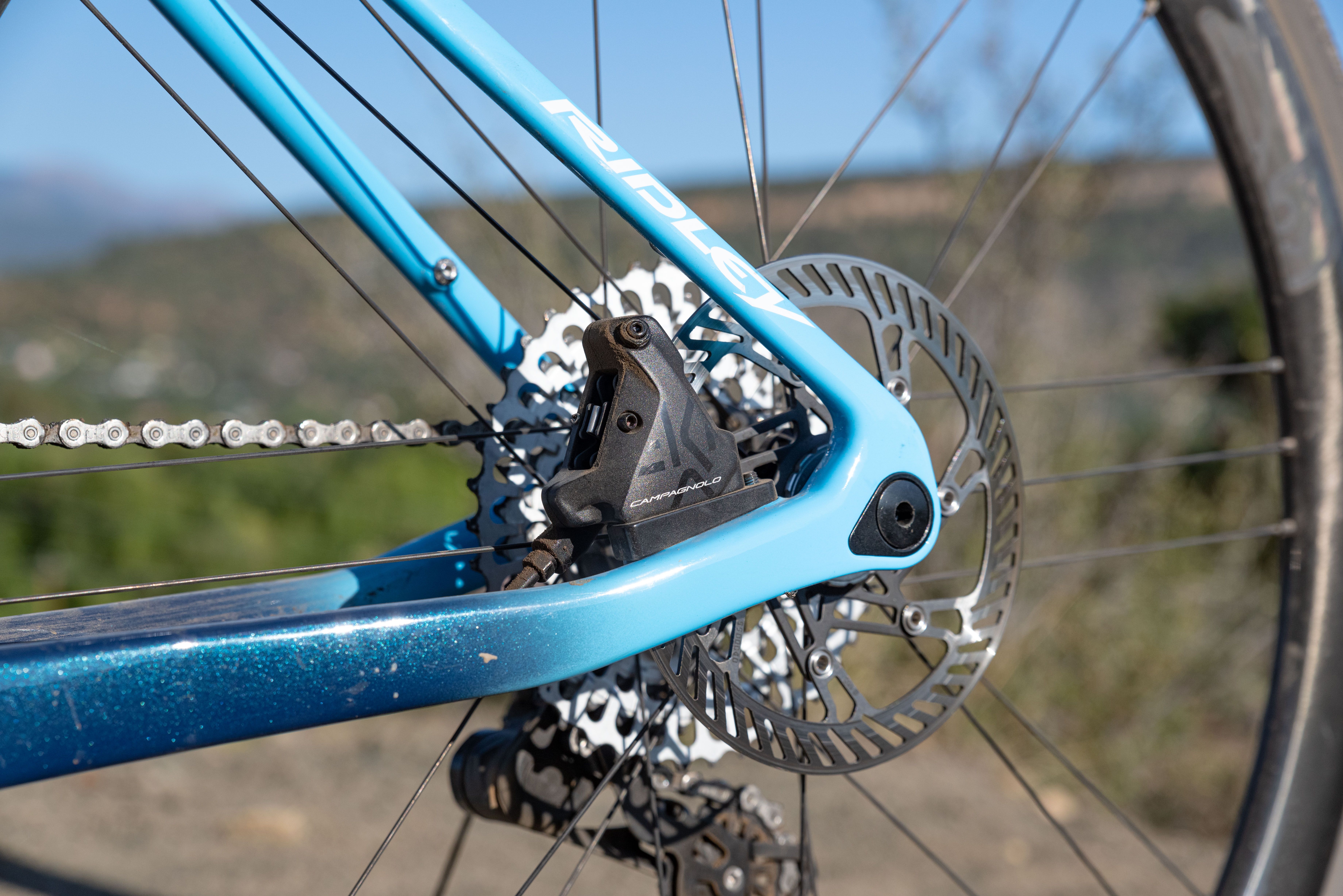 diverge campagnolo