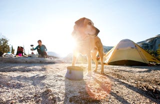 26 Easy Campfire Desserts - Best Recipes for Dutch Oven Desserts