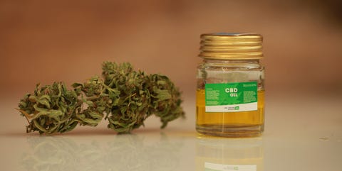 cannabis oil cbd cannabis oil cbd