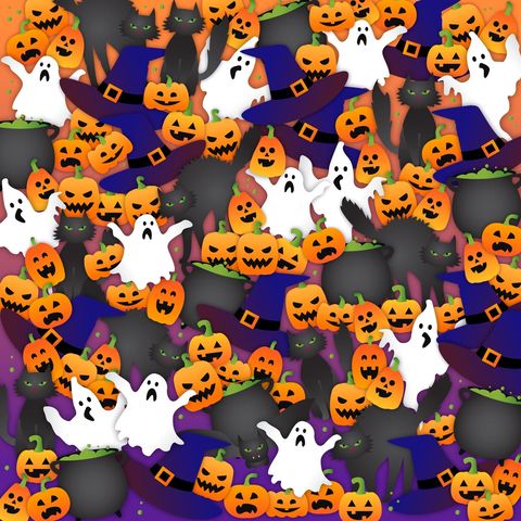 Can You Spot the Bat Among the Pumpkins in This Tricky Halloween Puzzle?