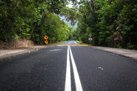 best road trips in the world Cape Tribulation best road trips in the world cape tribulation
