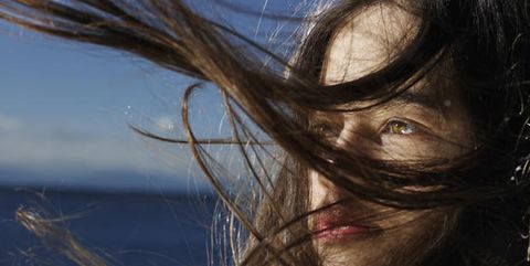 Hairstyle, Beauty, Sunlight, Long hair, Brown hair, Wind, Feathered hair, Step cutting, Portrait photography, 