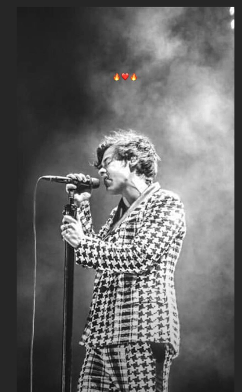 Harry Styles se atreve con Palomo Spain