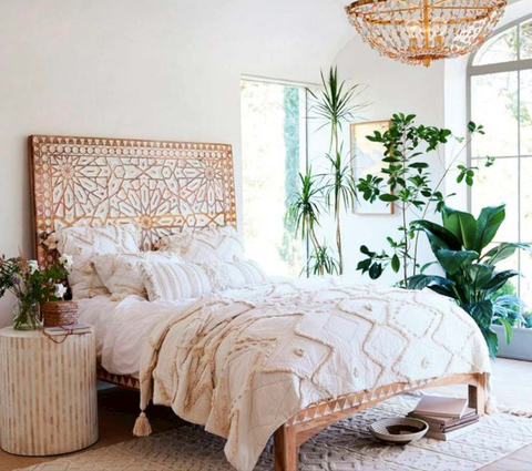 Plantas que te ayudan a dormir y puedes tener en la habitación