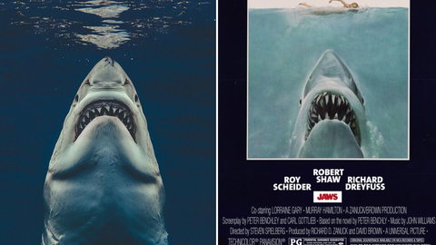Tiburón Un Fotógrafo Recrea El Cartel De La Icónica Película De Steven Spielberg