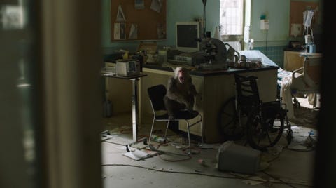 hbo the last of us