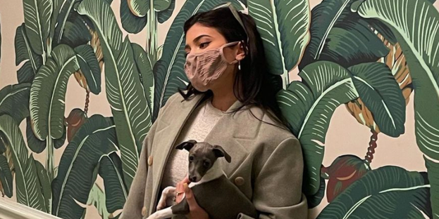 Kylie Jenner Dressed Up in Short Shorts and High Boots for a Lunch Date With Her New Puppy