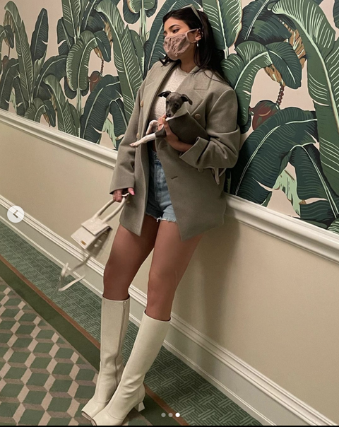 Kylie Jenner Dressed Up In Short Shorts And High Boots For A Lunch Date With Her New Puppy