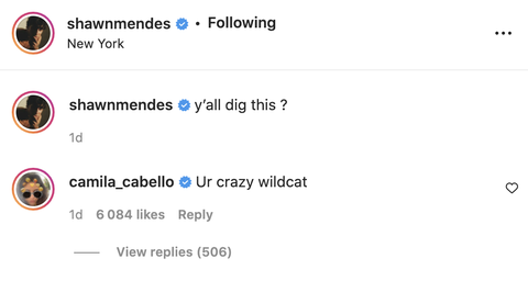 camila cabello's instagram comment to shawn mendes